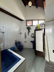 Paya Lebar Crescent (D19), Semi-Detached #524959401